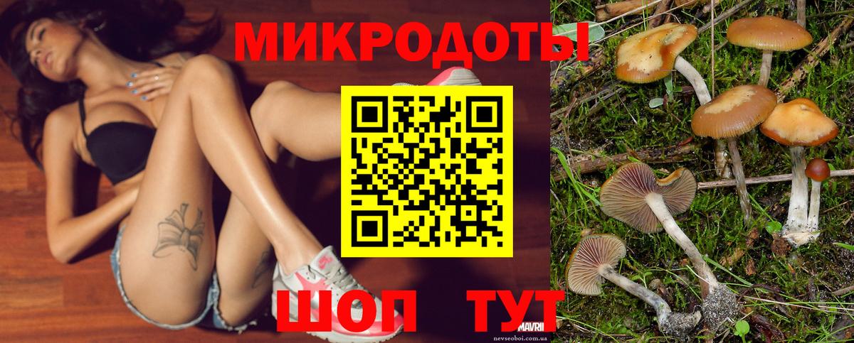 Псилоцибиновые грибы Psilocybine cubensis Фролово